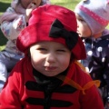 P4080446 (Small)