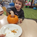 resized_image_9e0442dd-1f2a-4cc2-a20d-6463b000b94e