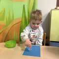 resized_IMG_0860