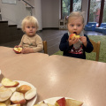 resized_IMG_2979