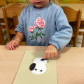 resized_2e808ad0-5a79-4dac-8575-fb12e16378f5