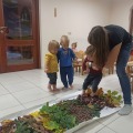 IMG_20201015_102107