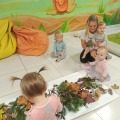 IMG_20201015_102216