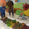 IMG_20201015_102232