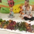 IMG_20201015_102238