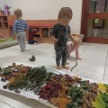 IMG_20201015_102311