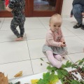 IMG_20201015_102419