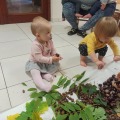 IMG_20201015_102421