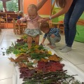 IMG_20201015_102520