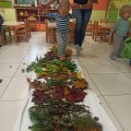 IMG_20201015_102607