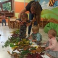 IMG_20201015_102647
