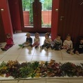 IMG_20201015_103656