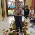 IMG_20201015_104602
