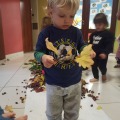 IMG_20201015_105221