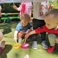 resized_IMG_20220603_103921