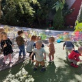 resized_IMG_20220603_104019