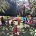resized_IMG_20220603_104250