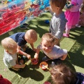 resized_IMG_20220603_104540