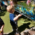 resized_IMG_20220603_104743
