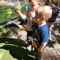 resized_IMG_20220603_104753