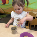 resized_IMG_0188