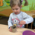 resized_IMG_0192