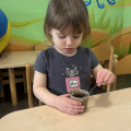 resized_IMG_0218