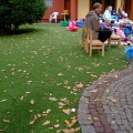 DSCF9796 (Small).JPG