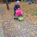 12179510_724555351008793_700080902_n (Small).jpg