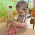 resized_IMG_0720
