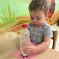 resized_IMG_0733