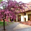 zlobek_naszabajka_2011_0014